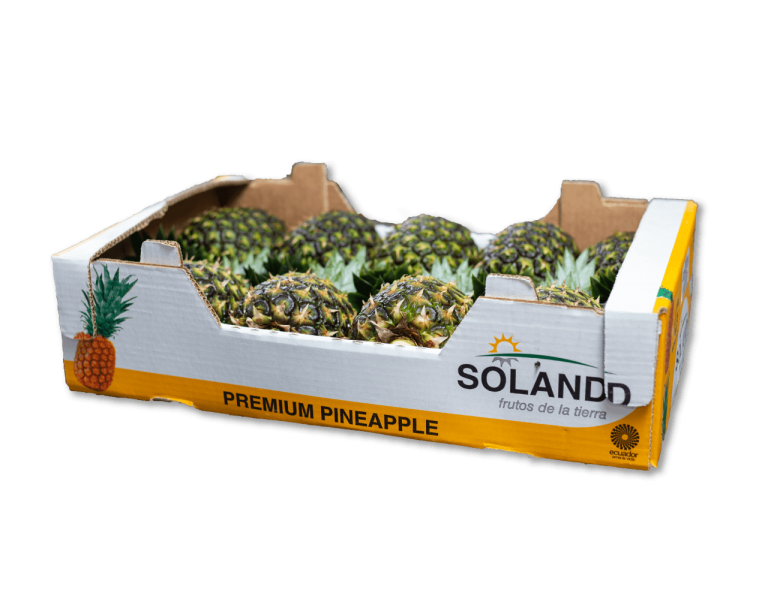 caja-piña-soland-sombra