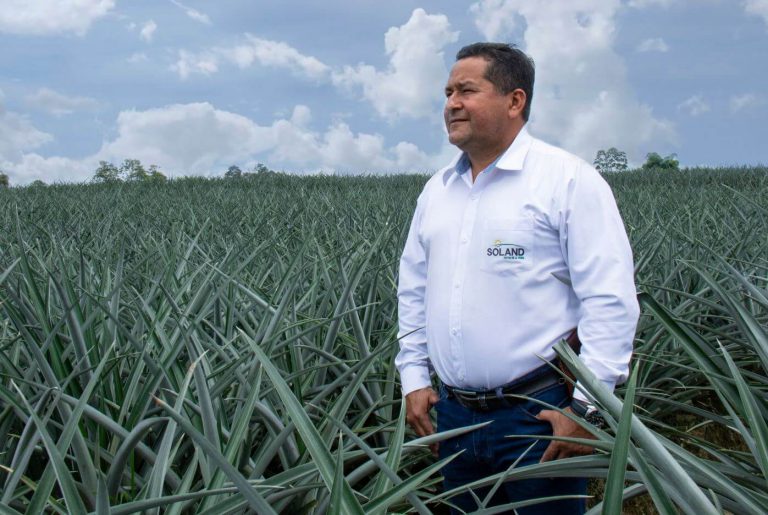 gerente-soland-piña