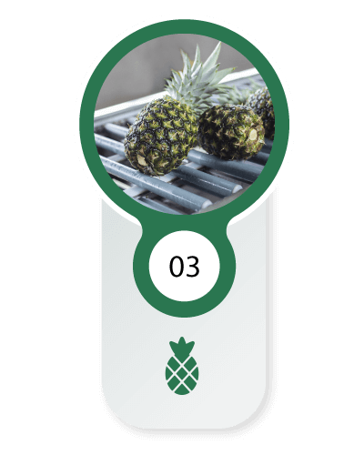 imagen-piña-etapa-fruta-soland